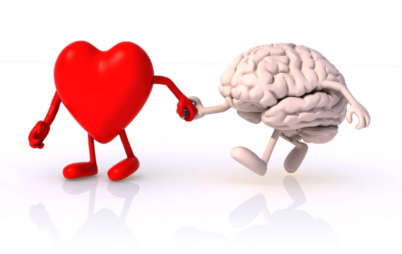 indoors, depression - sadness, human body part, emotion, love, red, human brain, heart beautiful backgrounds desktop, heart shape, positive emotion, food and drink