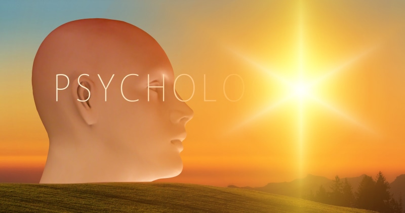 identity, silhouettes, psychology, attention, finance, unconscious, ideas, nature, man, globe, sunset, innovation, psychoanalysis, responsibility, subconscious mind