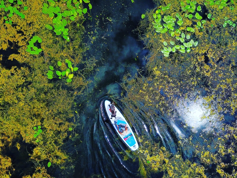 landscape, leisure activity, waters, bright, 4K, underwater, lilies, real people, plant, birds eye view, nature, lifestyles, split shot, beauty in nature