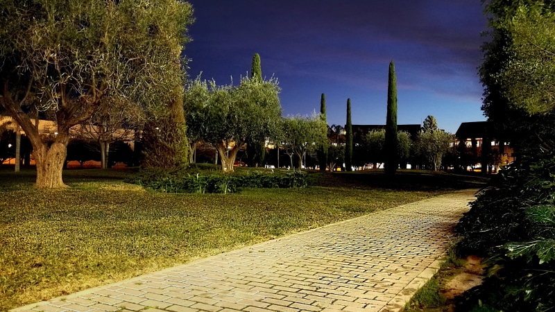 olive, field, building exterior, landscape, park - man made space, outdoors, purity, garden, sunlight, no people, front or back yard, built structure, clouds
