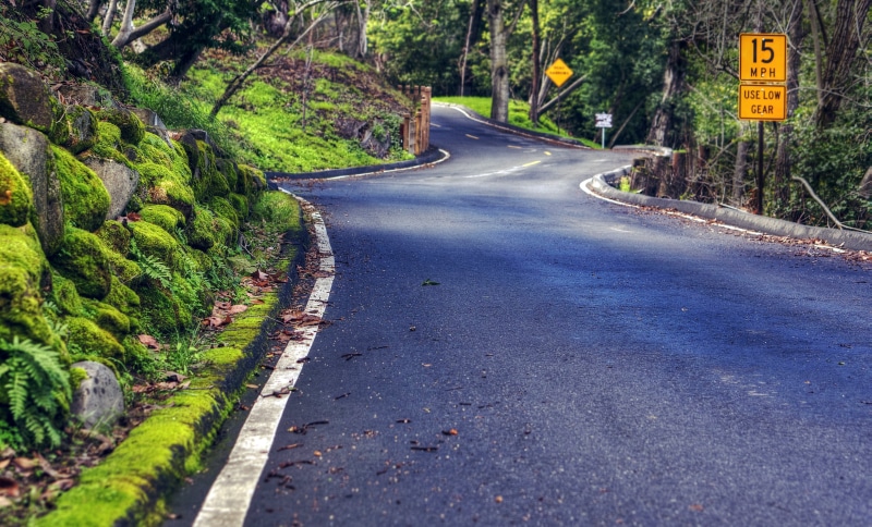 wet, nature, gray, street  road, like a child, green plants, street, asphalt, curious, Silicon Valley, road, SEL-50F18, plants, moss, Saratoga  California