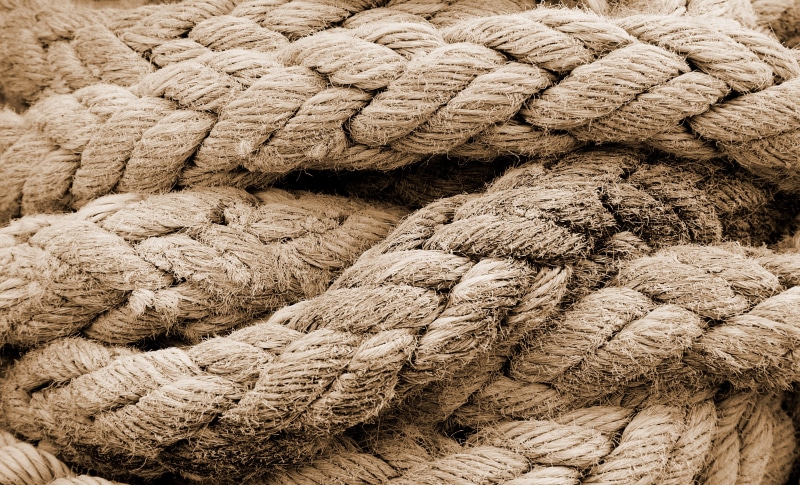 insecure, high angle view, worn, tangled, weak, complexity, unsafe, outdoors, close-up, strength, coiled, basket, knot, laid, Weave, risk, nature, full frame