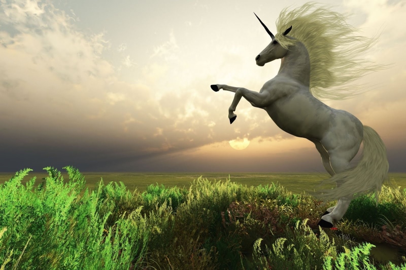 animales, 720P, unicornio-real, fantasia, mitos, mitologia, unicorn, cuentos