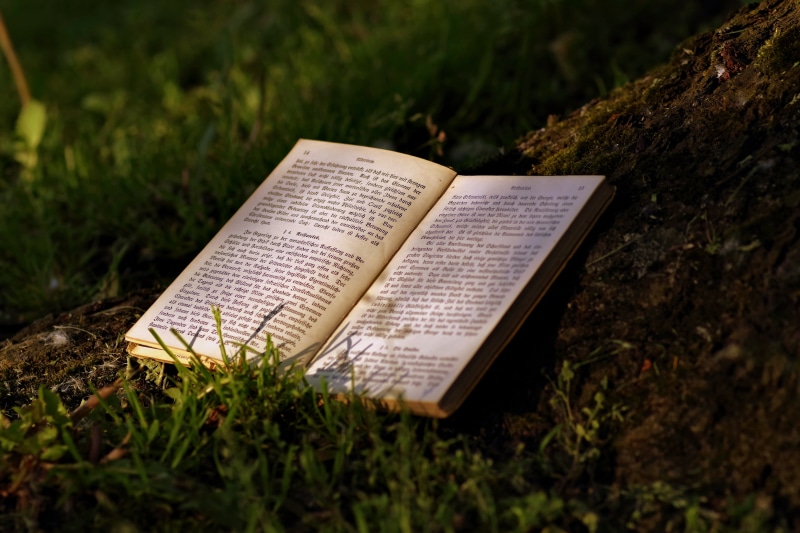 the sun, culture, spirituality, peace of mind, gothic, shadow, green color, 5K, park, education, daytime, book, selective focus, open, opened, holiday