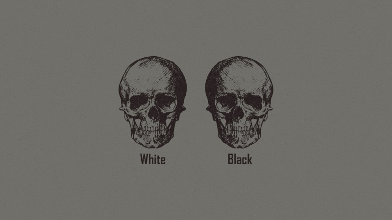 communication, cut out, 4K, monochrome, human skeleton, horror, gray background, fear, halloween, logic, close-up, minimalism, studio shot, skull, spooky