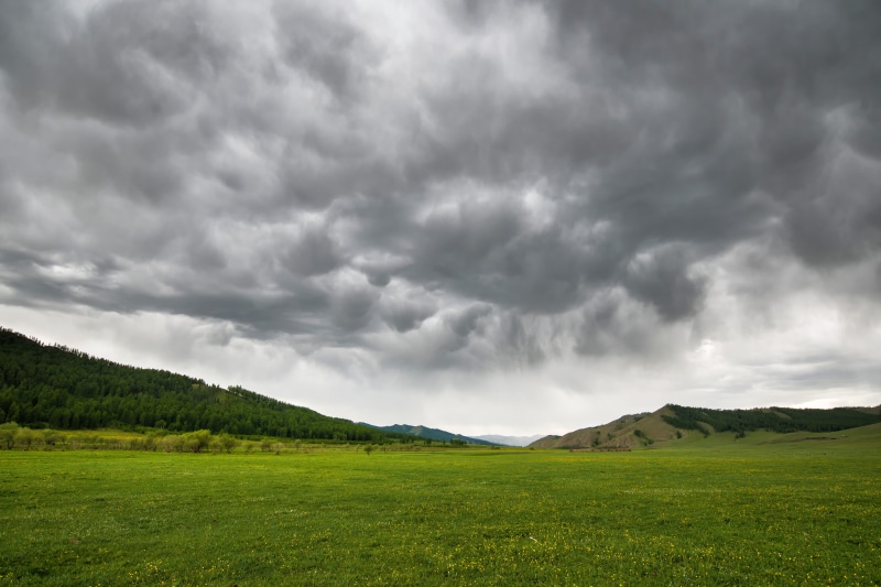 grass, dramatic sky, mongolia, storm, dark, beauty In Nature, ominous, june, landscapes, nature, cloud - Sky, scenics - nature, storm cloud, rain, hill