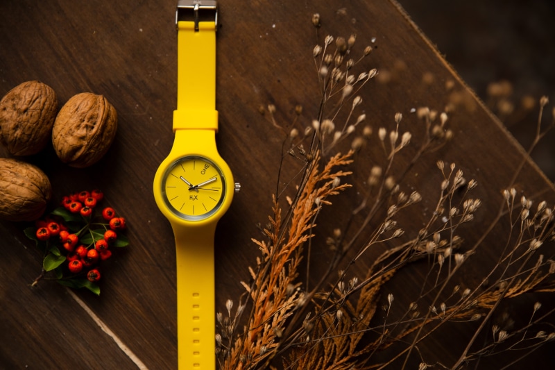 no people, art, fall, indoors, time, table, walnuts, spice, close-up, tabletop, clock, watch, directly above, flowering plant, precision, color, 5K, flowers