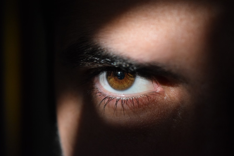close, indoors, stand, looking at camera, seeing, portrait, color Image, observing, one Person, caucasian Ethnicity, human body part, looking, human Eye