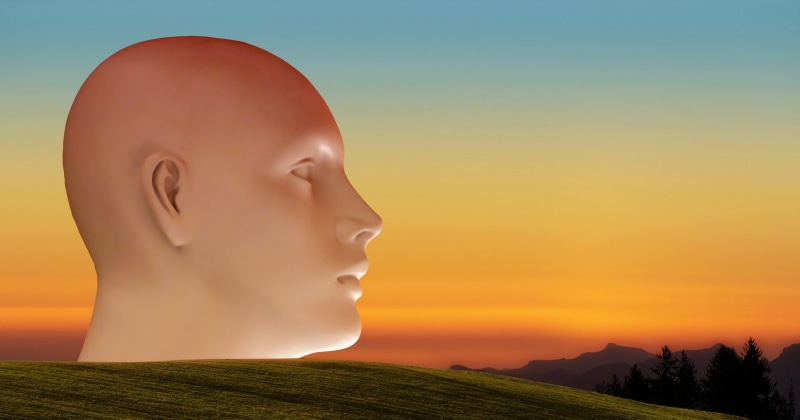 face, attention, psychoanalysis, think, psychology, representation, beauty in nature, personality, identity, business, subconscious mind, sky, content