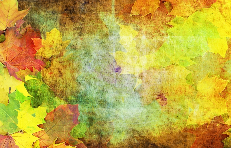 textured, paintings, full frame, abstract painting, abstract, multi colored, maple, abstract backgrounds, art and craft, brown, oil painting, close-up