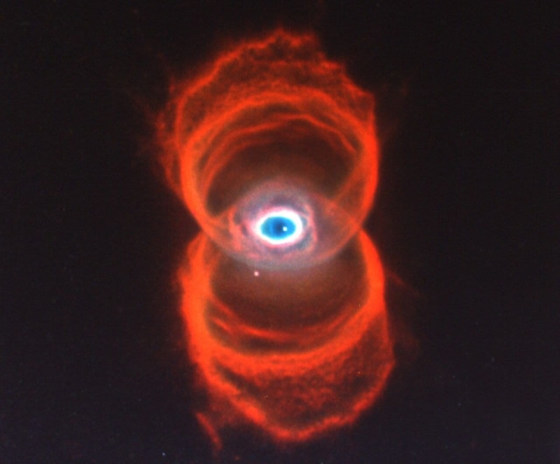 animal wildlife, planetary fog, animal themes, nature, body part, space travel, space, nasa, all, astronomy, eye, universe, eyesight, illustration, fog