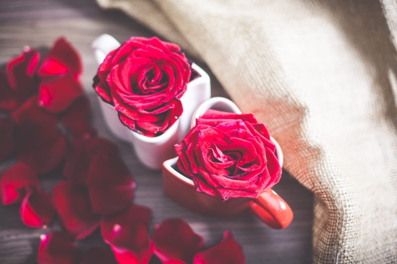 pink color, valentines, saint valentine, cute, happy, Love Heart, decoration, fragility, rose leafs, valentines day, nature, flowering plant, rose - Flower