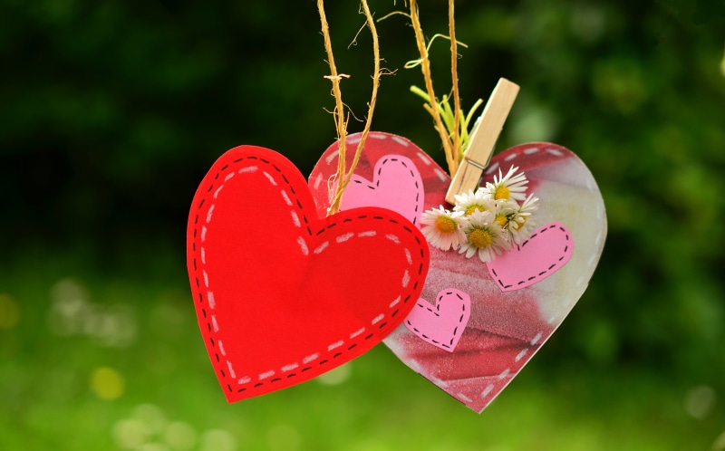 plant, outdoors, pair, focus on foreground, affection, flowering plant, beauty in nature, wedding, romance, relationship, tenderness, hanging, red, red heart