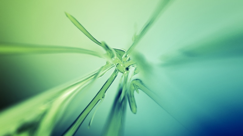 digital/artwork, abstract, hd, leaf, green, 1080P