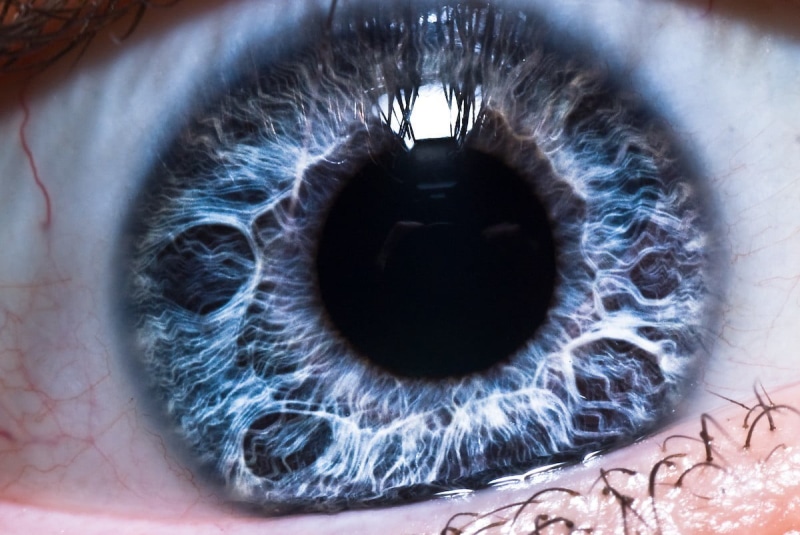 eyelash, extreme close-up, pupil, close-up, hair, people, black color, unrecognizable person, body part, eyeball, eyes, shape, human eye, sensory perception