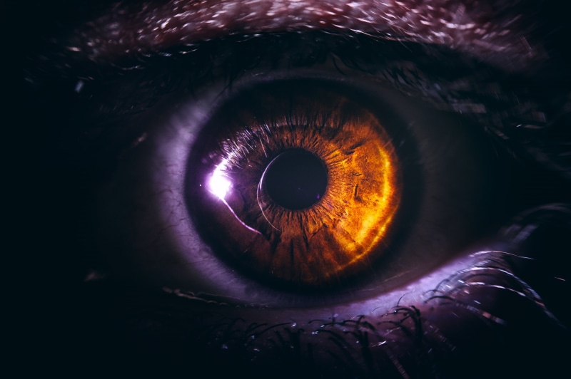 human eye, purple, human, nature, looking at camera, turning, iris - eye, eyesight, black Color, close-up, dark, night, abstract, futuristic, eyelash, one person