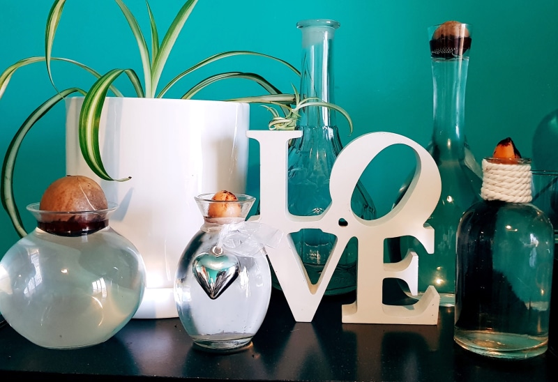 glass, tray, choice, feelings, still life, household equipment, close-up, decorative, nature, bottle, deco, transparent, indoors, spring, decoration, 2K