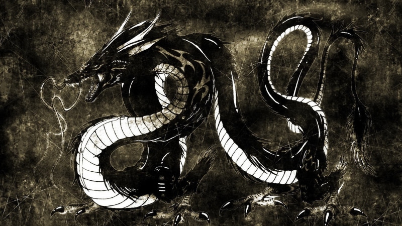 1080P, dragon, chinese dragon