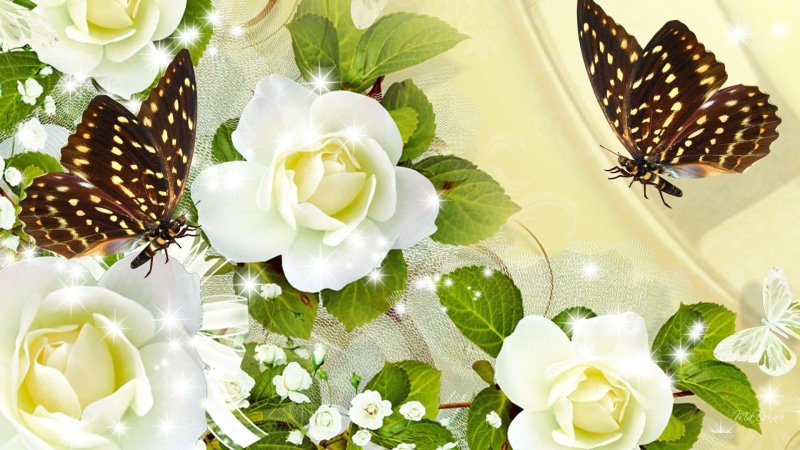 rose, 1080P, papillon, glitter, glitz, satin, gold, flowersand, sparkle, babies breath, roses, butterflies, butterfly, black, flowers, white, cream