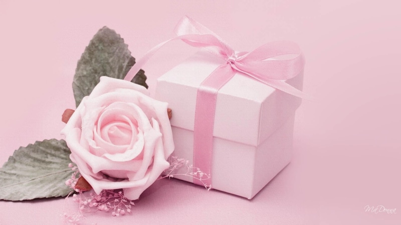 1080P, flower, box, beautiful, pink, ribbon, satin, rose, present, gift, chic