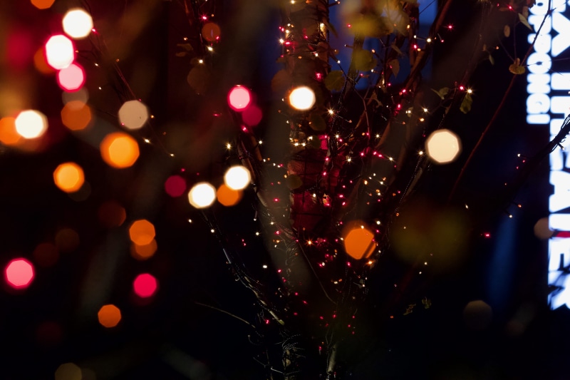 laser, 5K, night, holiday, multi colored, indoors, bokeh, effect, crowd, confetti, refreshment, decoration, defocused, lights, christmas lights, lighting equipment