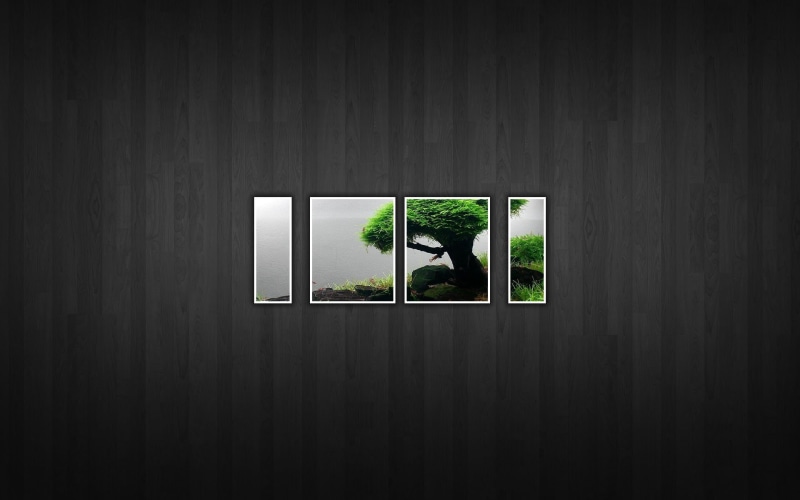 texture, dark, protection, digital art, trees, nature, collage, design, plant, silhouette, safety, green color, no people, glass - material, panel, shape