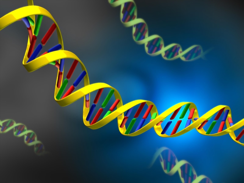 microbiology, multi Colored, shape, indoors, nucleic, helix Model, chromosome, abstract, communication, healthcare And Medicine, western script, green