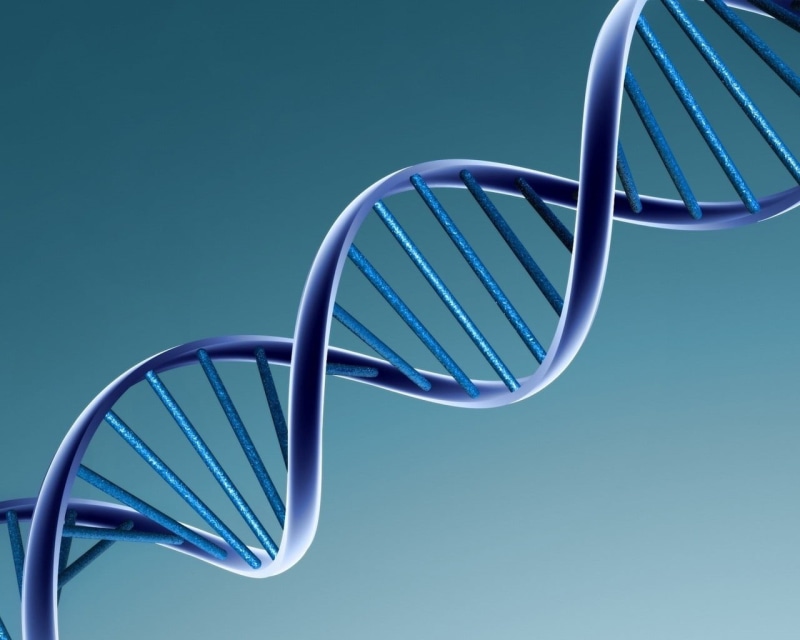 molecule, architecture, studio shot, healthcare And Medicine, science, illustration, backgrounds, magnification, dNA, medicine And Science, cable, connection