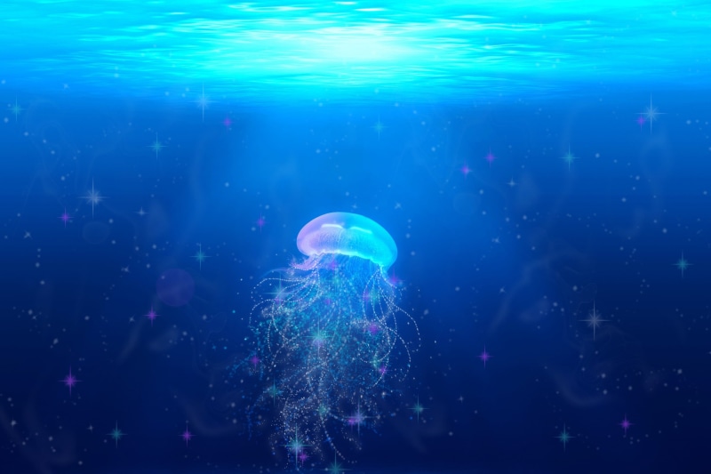 animal themes, backgrounds, animal, outdoors, underwater world, marine, sea life, jellyfish, space, underwater, aquarium, blue, swim, swimming, nature