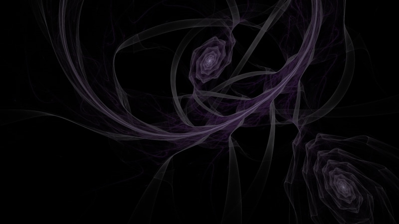 wave Pattern, smoke - Physical Structure, curve, copy space, multi Colored, nature, flowing, purple, smooth, black background, space, fantasy, close-up