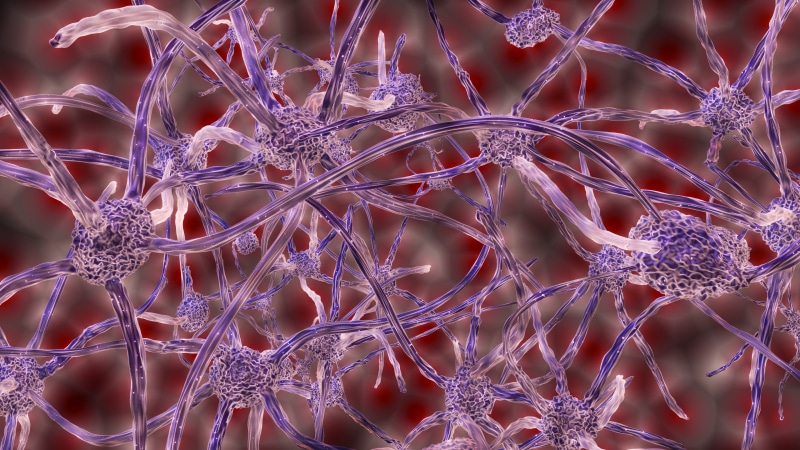 d, plexus, 4K, cells, nerve