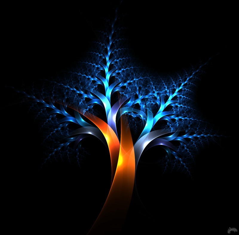 motion, spiral, space, circle, fractal, lines, close-up, computer Graphic, design, photographic Effects, fantasy, decoration, black background