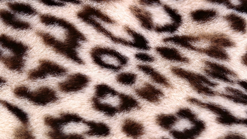 abstract, fur, backgrounds, animal Print, mammal, africa, animals In The Wild, no People, print, camouflage, one animal, safari Animals, animal themes