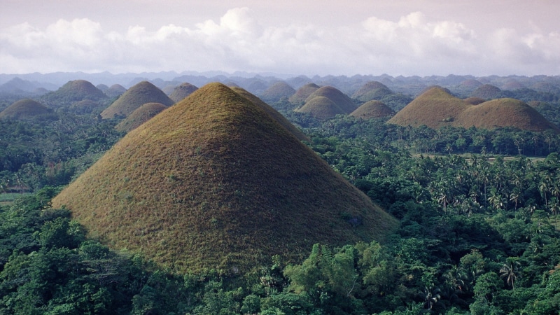bohol, forest, landscape, nature, hills, chocolate, 1080P, hd, jungle