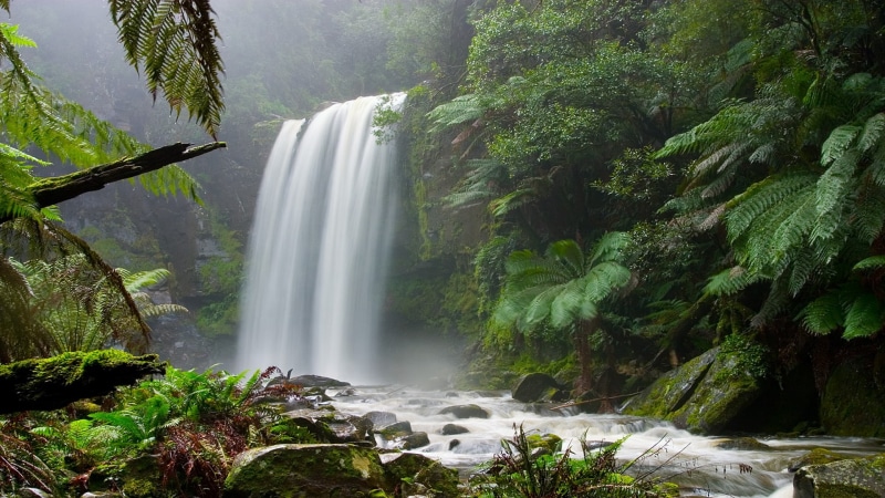 jungle, 1080P, forest, waterfalls, nature, green, hd, trees, waterfall