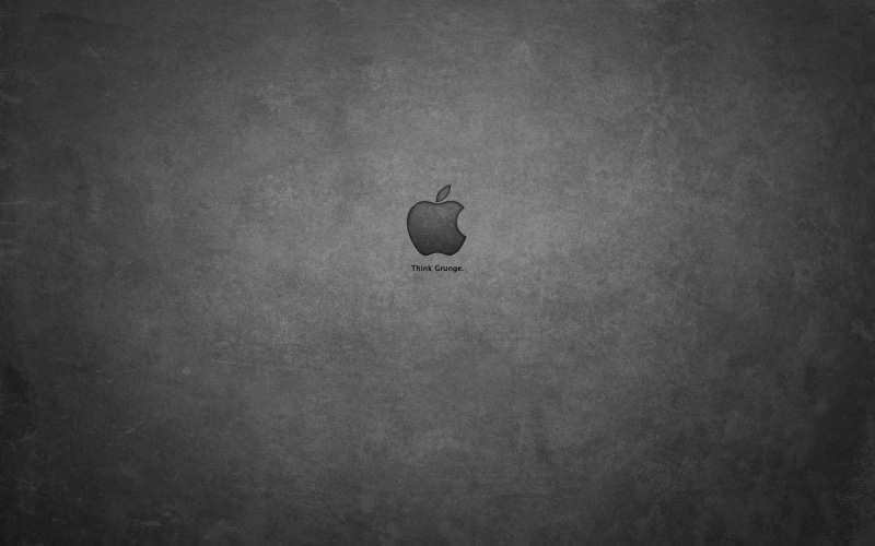 Background, Stone, Solid, 1080P, textured effect, Mac, animals in the wild, animal wildlife, animal, Apple, animal themes, bird, day, mid-air, flying