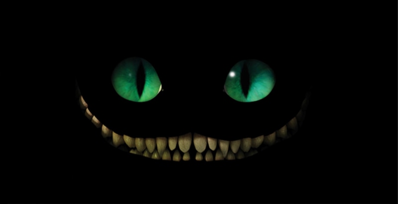 indoors, animal mouth, animal body part, eyesight, close-up, fear, 1080P, illuminated, horror, spooky, cheshire cat  hd pack, animal eye, halloween, lighting equipment