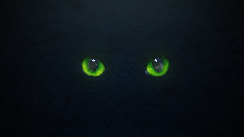 green color, eyesight, 1080P, studio shot, black background, close-up, animal, cover art, reflection, graphic design, tennis ball, minimalism, one animal