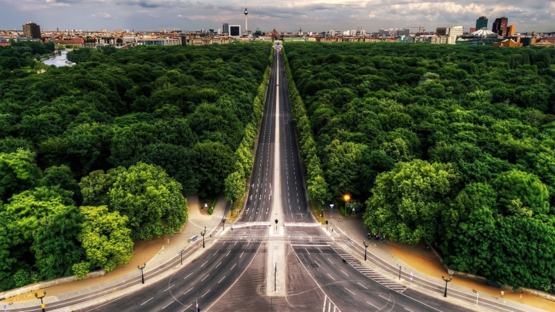 direction, tree, road, city, street, outdoors, concrete, diminishing perspective, building exterior, transportation, plant, green color, day, built structure