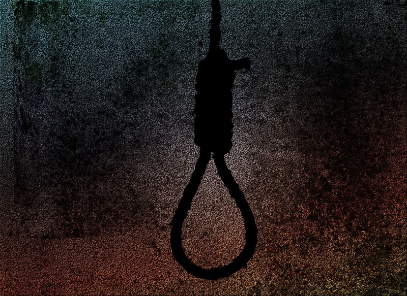 close-up, nature, leisure activity, textured, criminal, shadow, city, rope, hangmans noose, 1080P, gallows, hangman, penalty, tree, execution, hanging