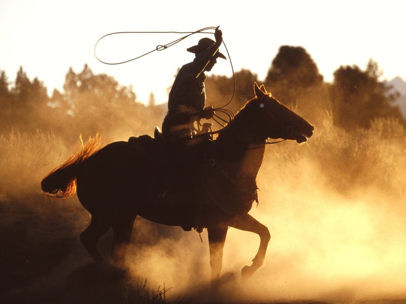 hd, silhouette, rope, horse, shadow, animals, dust, cowboy, 720P, lasso