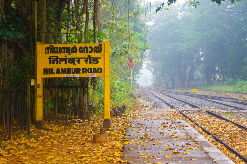 direction, indian railway, change, indian, plant part, tree, rail transportation, forest, outdoors, leaves, nature, railway station, communication, no people