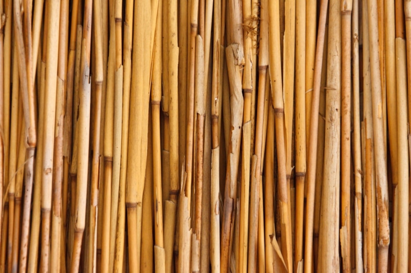 stick, wall, texture, bunch, tropical, tree, 1080P, brown, bamboo - plant, day, fence, nature, asian, pattern, lot, full frame, large group of objects