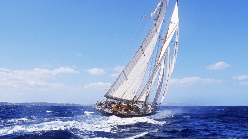 aquatic sport, summer, outdoors, nature, vehicle, day, vessel, port, ship, sky, sailing ship, horizon over water, travel, sail, ocean, rigging, tourism