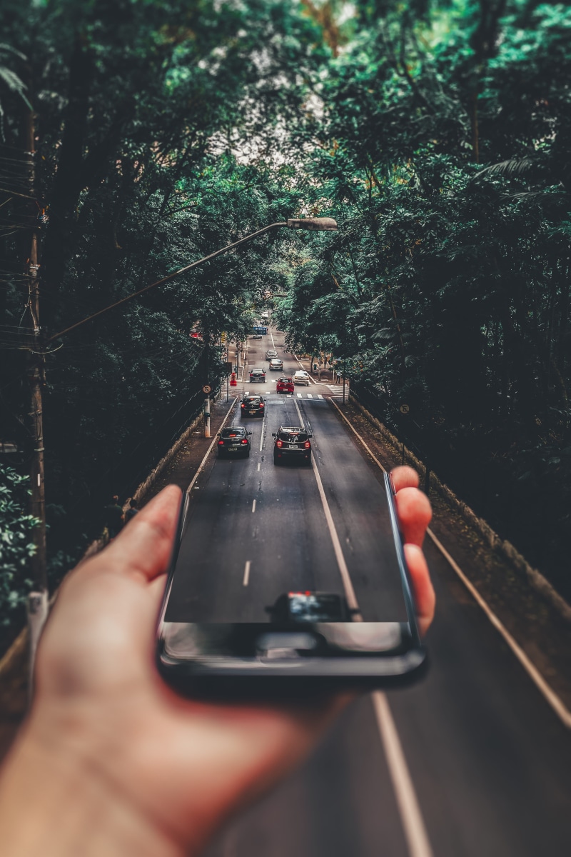 real people, unrecognizable person, green, holding, traffic, road, phone, nature, travel, personal perspective, tree, 5K, lifestyles, forest, human hand