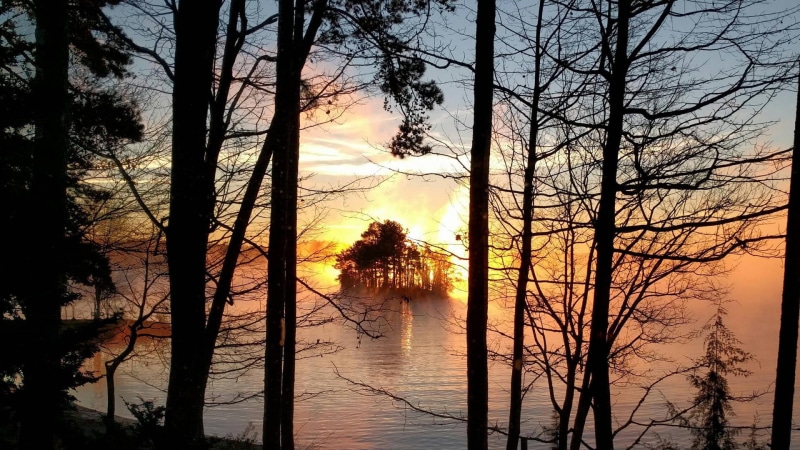 water, tree trunk, tranquil scene, 1080P, no people, South Carolina, layer, outdoors, Lake Keowee, forest, idyllic, trunk, tree, island, sunset, black