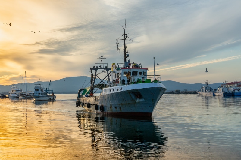 sailboat, rope, anchored, fish, nautical, cloud - sky, equipment, sea, fishing, vessel, waterfront, fisherman, sozopol, boats, 5K, sunset, marina, nature