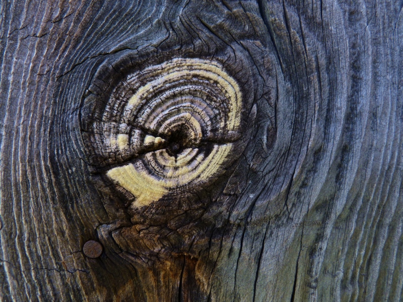 textured, brown, natural pattern, node, outdoors, rough, board, bark, timber, no people, knotted wood, wood - Material, nature, plank, full frame, 4K