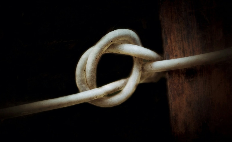 indoors, brown, selective focus, studio shot, extreme close-up, white color, cut out, wood - material, no people, activity, single object, black background