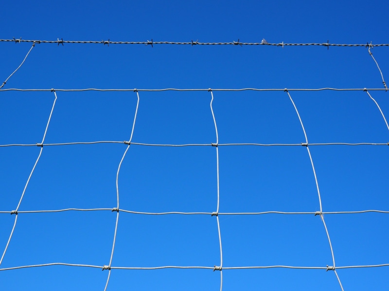 low angle view, close-up, wire meshes, nature, day, demarcation, fenced, forestry braid, barbed wire, backgrounds, clear sky, sheep netting, cattle fence